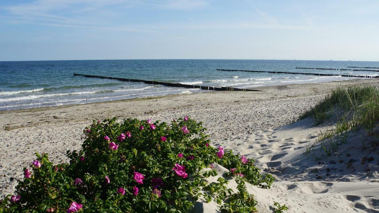 Ferienwohnung Baltic Sea Börgerende-Rethwisch Buitenkant foto